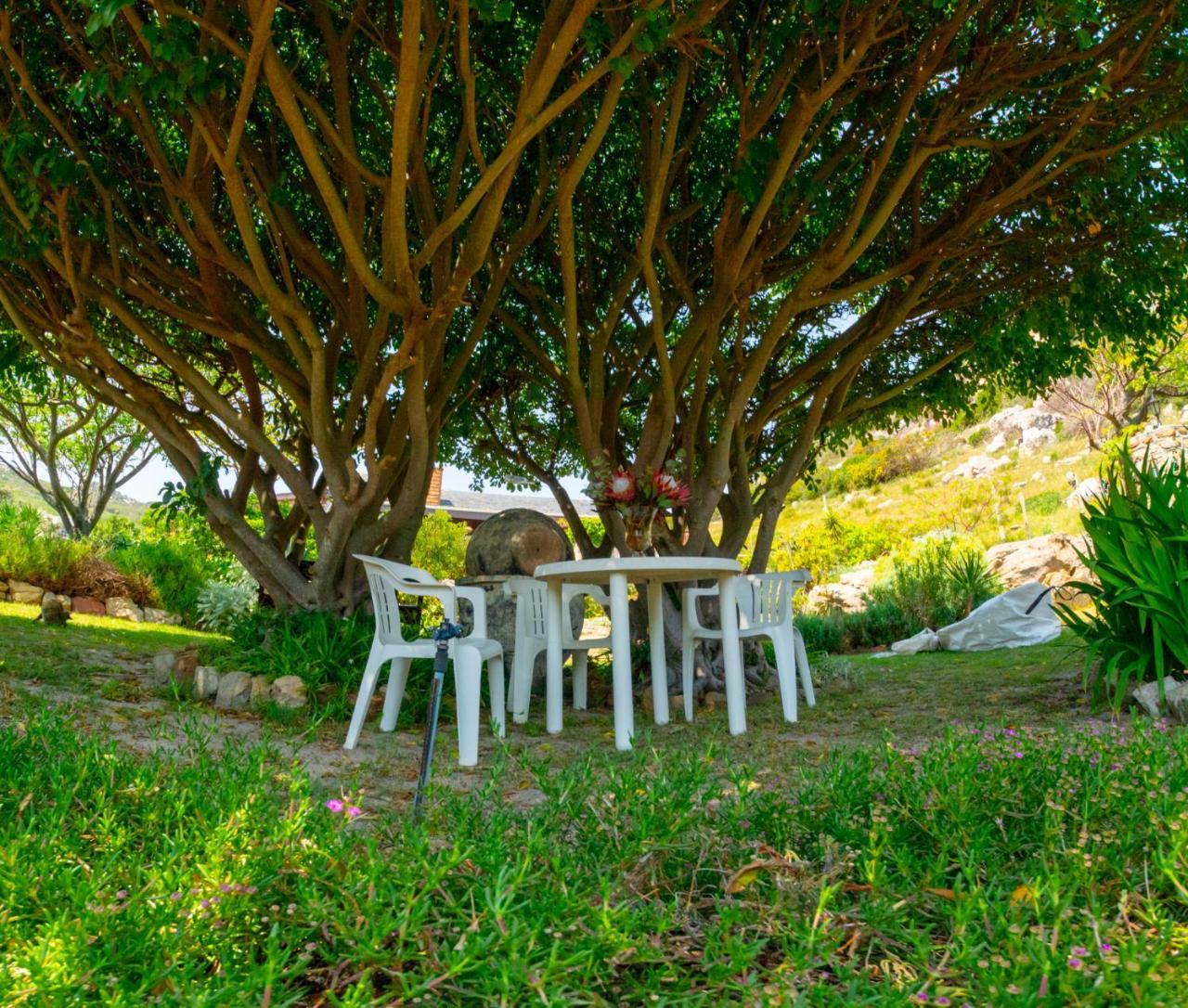 Makapa Lodge Кейптаун Екстериор снимка