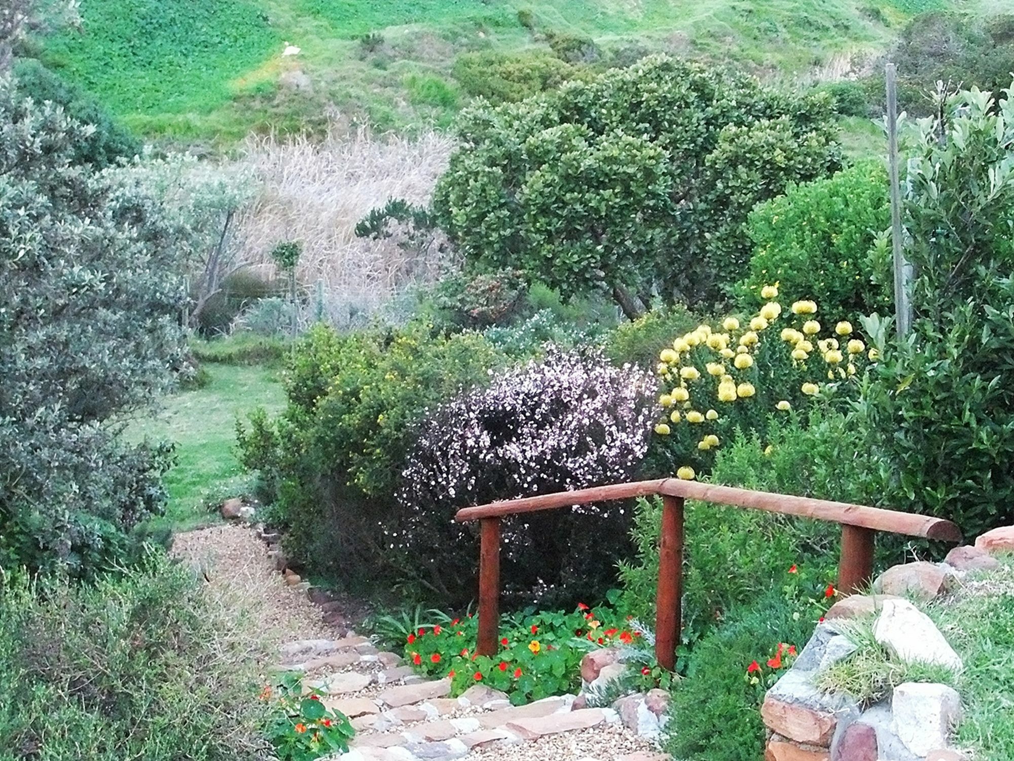 Makapa Lodge Кейптаун Екстериор снимка